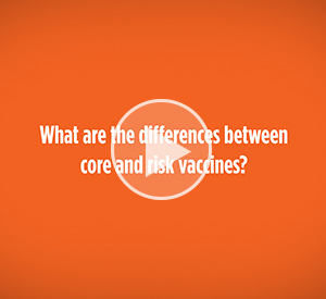 What are the differences between core and risk vaccines?