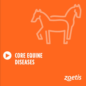 Core Equine Diseases