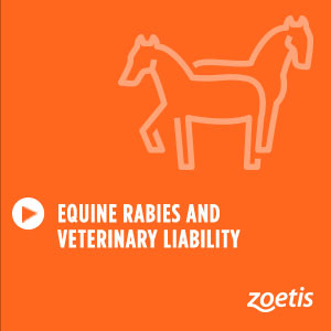 Equine Rabies and Veterinary Liability